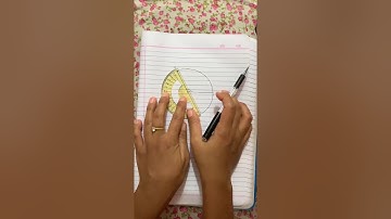 Class 8 pie chart (part 2)