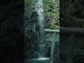 滝と鳥居のコラボが美しすぎる、、