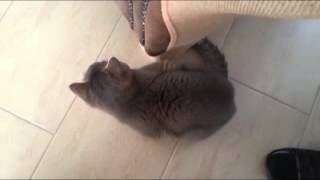 WP 20150310 004