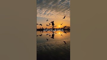 إِنَّا نَحْنُ نَزَّلْنَا الذِّكْرَ وَإِنَّا لَهُ لَحَافِظُونَ}، #قرآن كريم