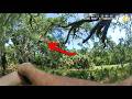 Police vs. Tarzan in Real Life
