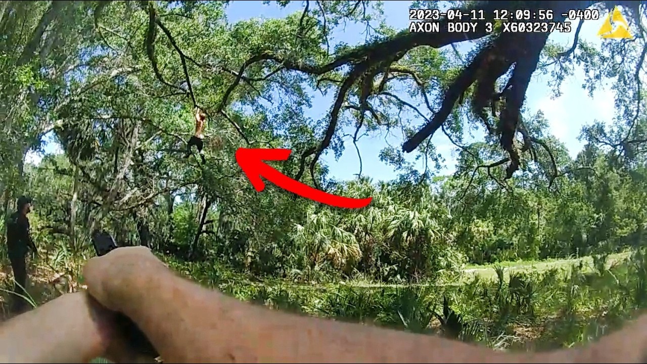 Police vs. Tarzan in Real Life