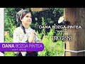 Oana Bozga Pintea - O, vai, vai, Ierusalime (PRICEASNA)