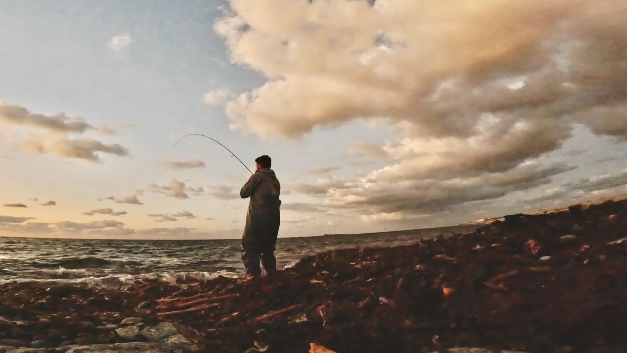 ОКУНЬ АКТИВНО КОРМИТСЯ В ГУСТЫХ ВОДОРОСЛЯХ | ПОПРОБУЙТЕ ЭТО!! | ЛОВЛЯ ОКУНЯ НА ПРИМАНКУ