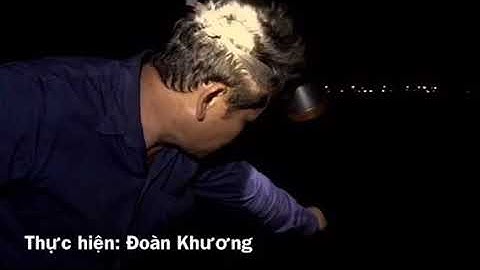 Câu mực Lá ở Côn Đảo Đoàn Khương