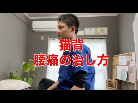 猫背腰痛の治し方　別府の整体は【姿勢専門サロンゆのまち】