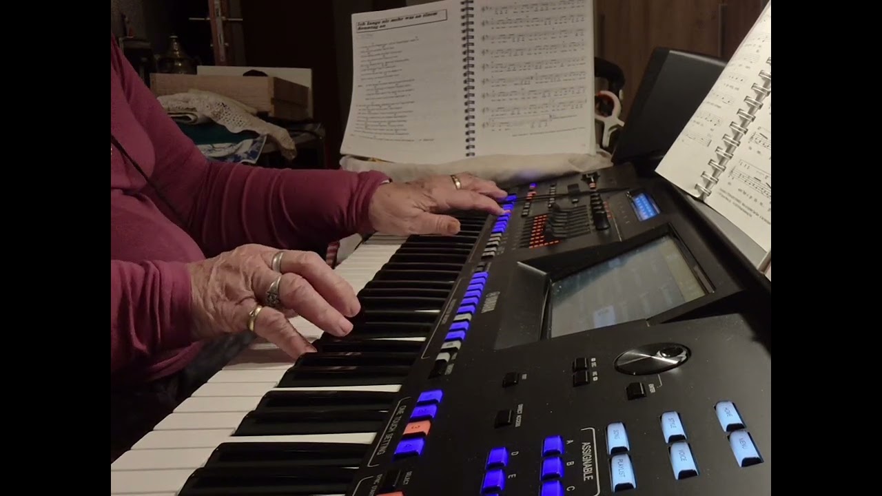 7 Schlagerträume Wenn Teenager träumen gespielt am Genos 2 