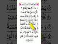 Surah Humazah Beautiful Recitation 