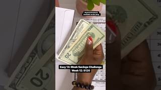 The $1000 Fast Savings Challenge: Week 12 Success!