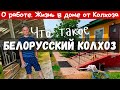 Обзор дома от колхоза / О работе / Деревня Урицкое / #гомель #беларусь #belarus