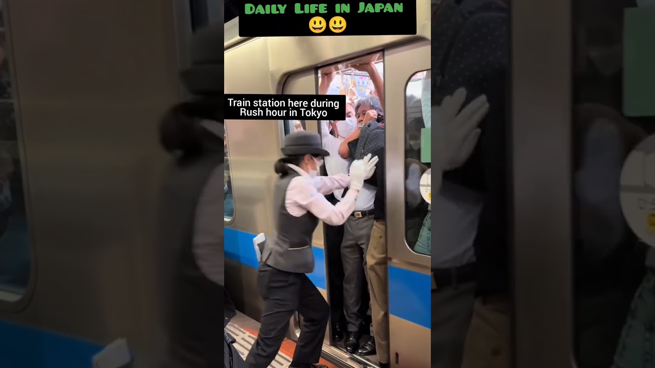 FUN FACT: Train is the most reliable means of trapping 