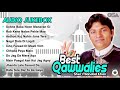 Best qawwalies  audio  sher miandad khan  osa worldwide