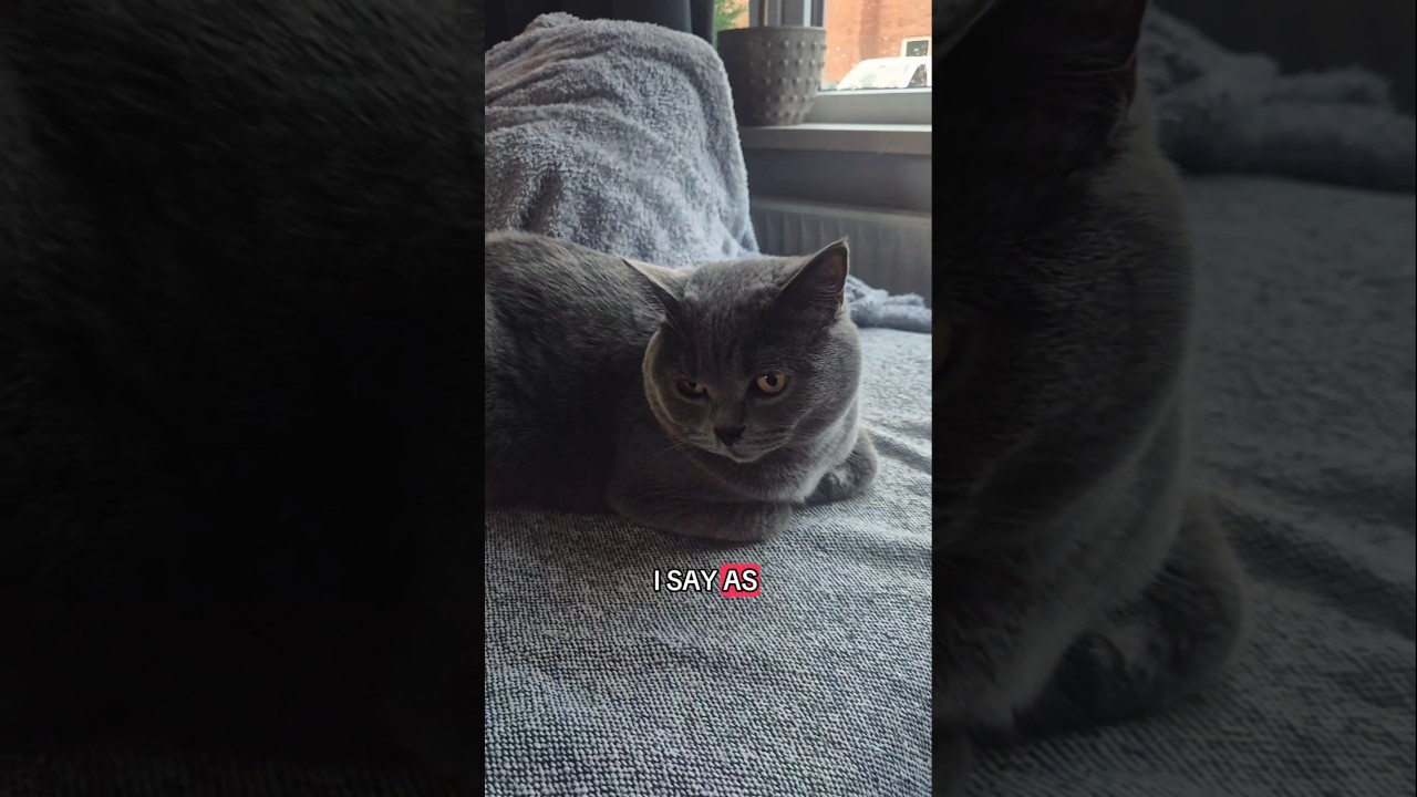 23 December 2024 YouTube 23 December 2024 YouTube