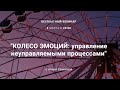 Вебинар "КОЛЕСО ЭМОЦИЙ: управление неуправляемыми процессами"  с Анной Сечкиной