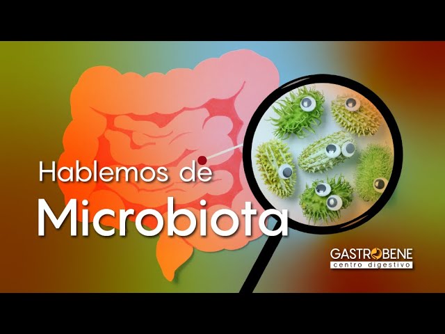 Microbiota - Gastrobene