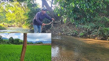 Cần cắm lên Lươn, Cá Lóc Bự | khám phá cảnh đẹp thác nước, núi rừng sông Suối , phong cảnh tự nhiên