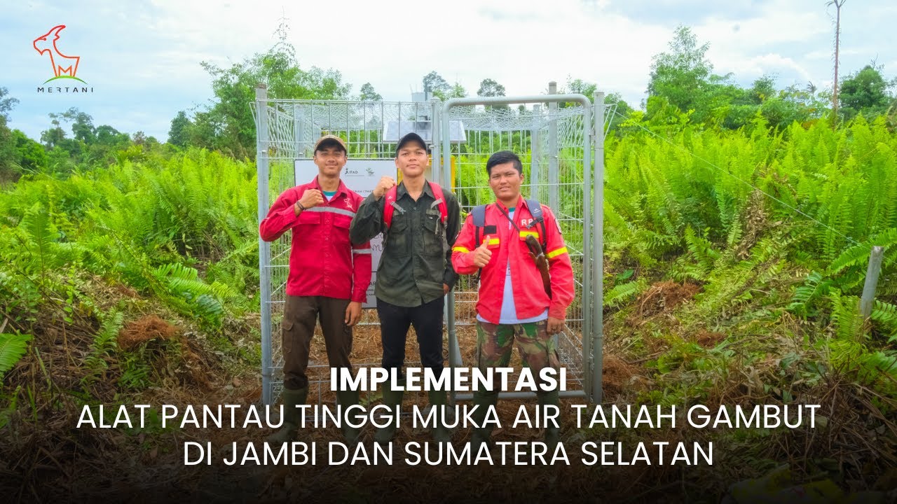 Implementasi Alat Pantau Tinggi Muka Air Tanah Gambut di Jambi dan Sumatera Selatan
