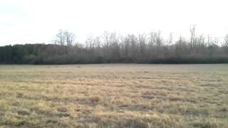 Berry college lots of deer posible hunt
