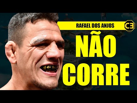 Vídeo: Quando Será A Próxima Luta Do UFC? Data, Hora E Programação