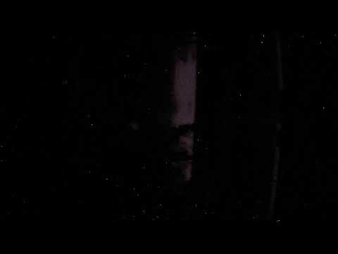 Aquarium — webcam en direct (Pays-Bas)