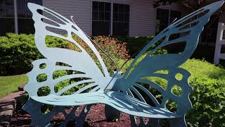 Volunteer Spotlight: Nancy Jarrell