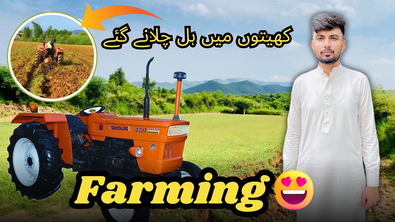 Farming In Pakistan || Kheton me Hal Chalany Gay | Mubashir Akhori Vlogs
