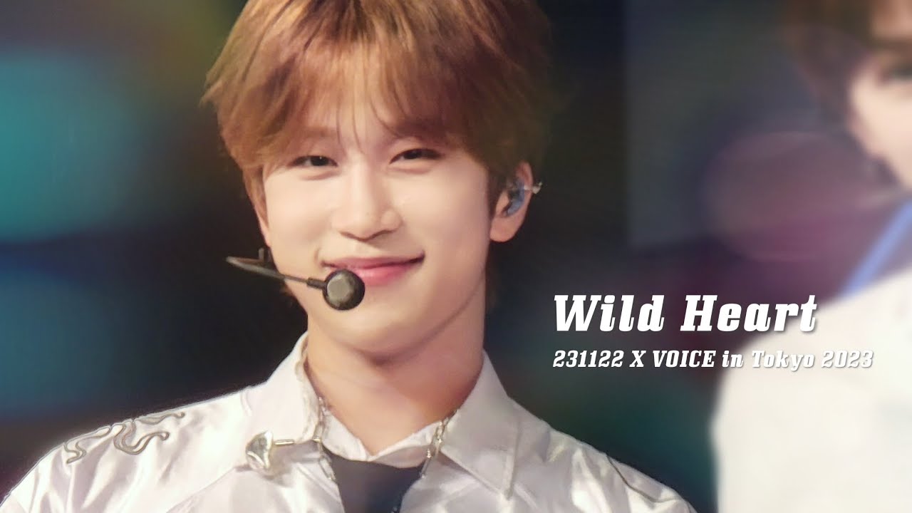 루네이트(LUN8) Wild Heart【231122 X VOICE in Tokyo 2부】 준우(JunWoo) Focus
