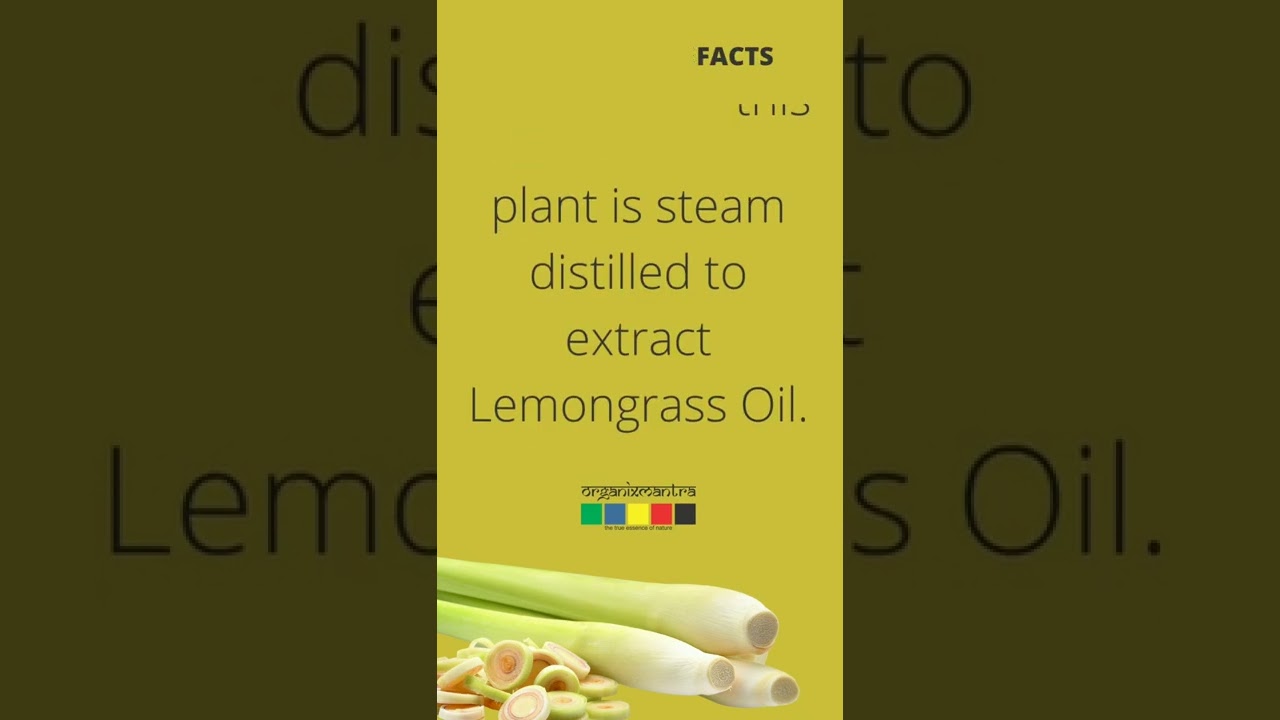 #Lemongrass