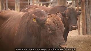 Salta Agropecuaria 605. Bloque 3