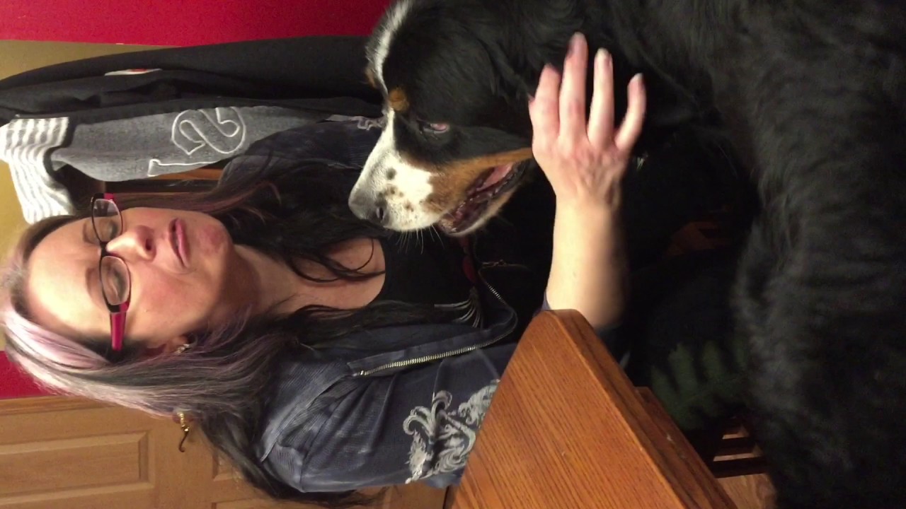 Zeus Has A Conversation With Celeste