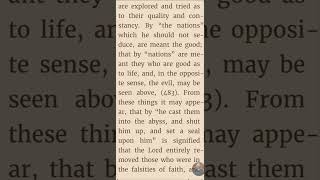 Swedenborg Book Club on Discord / Apocalypse Revealed # 90
