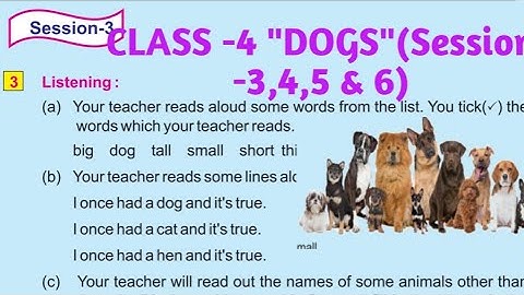 Class-4: ENGLISH: PART-2 :Main Lesson-1: Session-3: Question answer of "DOGS":Odia Medium