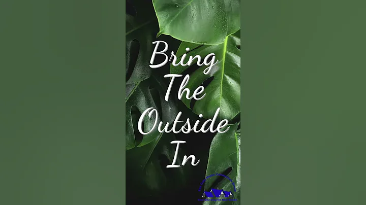Bring The Outside In