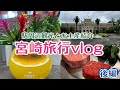 【宮崎旅行vlog後編】ライブが目的の旅、最終日はこんな感じでした!買ってきたお土産紹介!!