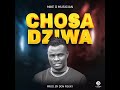 MIKE D MUSICIAN_-CHOSADZIWA -_ OFFICIAL_- AUDIO _-2024