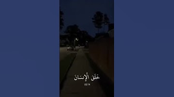 سوره الرحمن #freefire #funny #food #foryou #اكسبلور #لايك #قرآن #facts #fun #football #funnyvideo