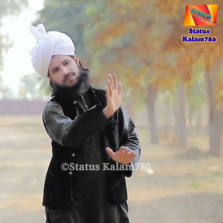 jo dally nu dalla na samjy😆 #status #chishti #kalam #viral #share