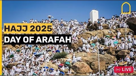 Hajj Live 2025: Muslim Pilgrims Pray At Mount Arafat