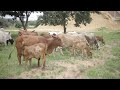 LATU DILA Ft MLYAMBELELE UJUMBE BHADEMI BY MBASHA STUDIO 2026 0724604602 