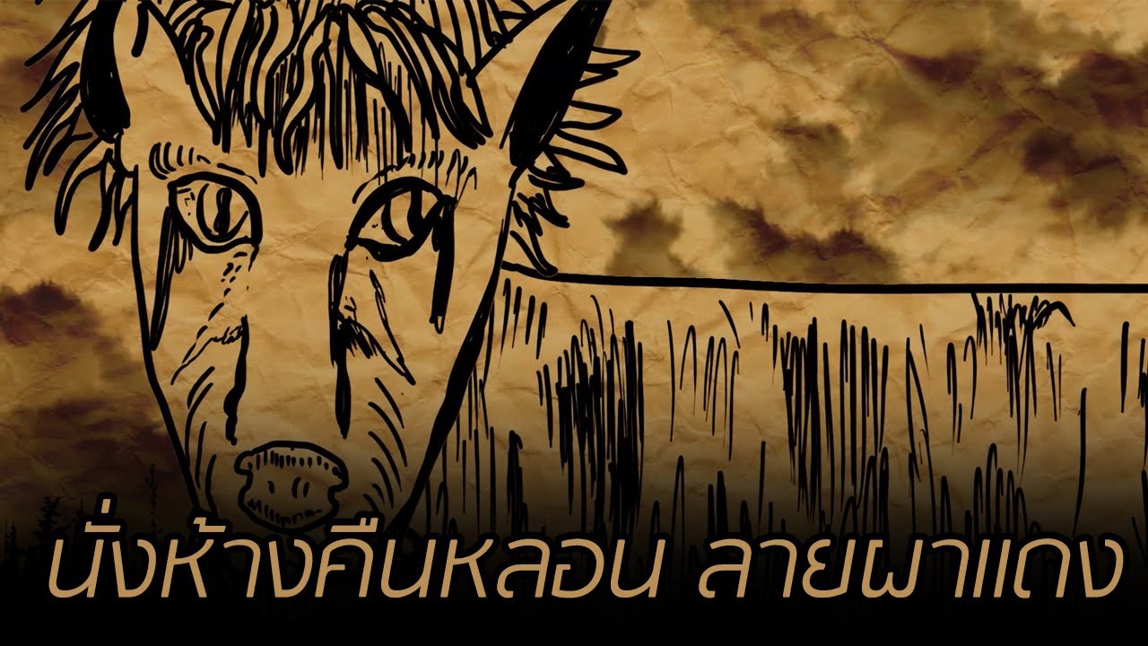 นั่งห้างคืนหลอน ลายผาแดง