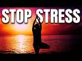 Quick Easy Relaxation: Rhythmic Drums, Coastal Waves &amp; Woodland Birds (Black Screen)