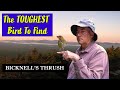 BICKNELL&#39;S THRUSH - The Hardest Bird to Find in Maine