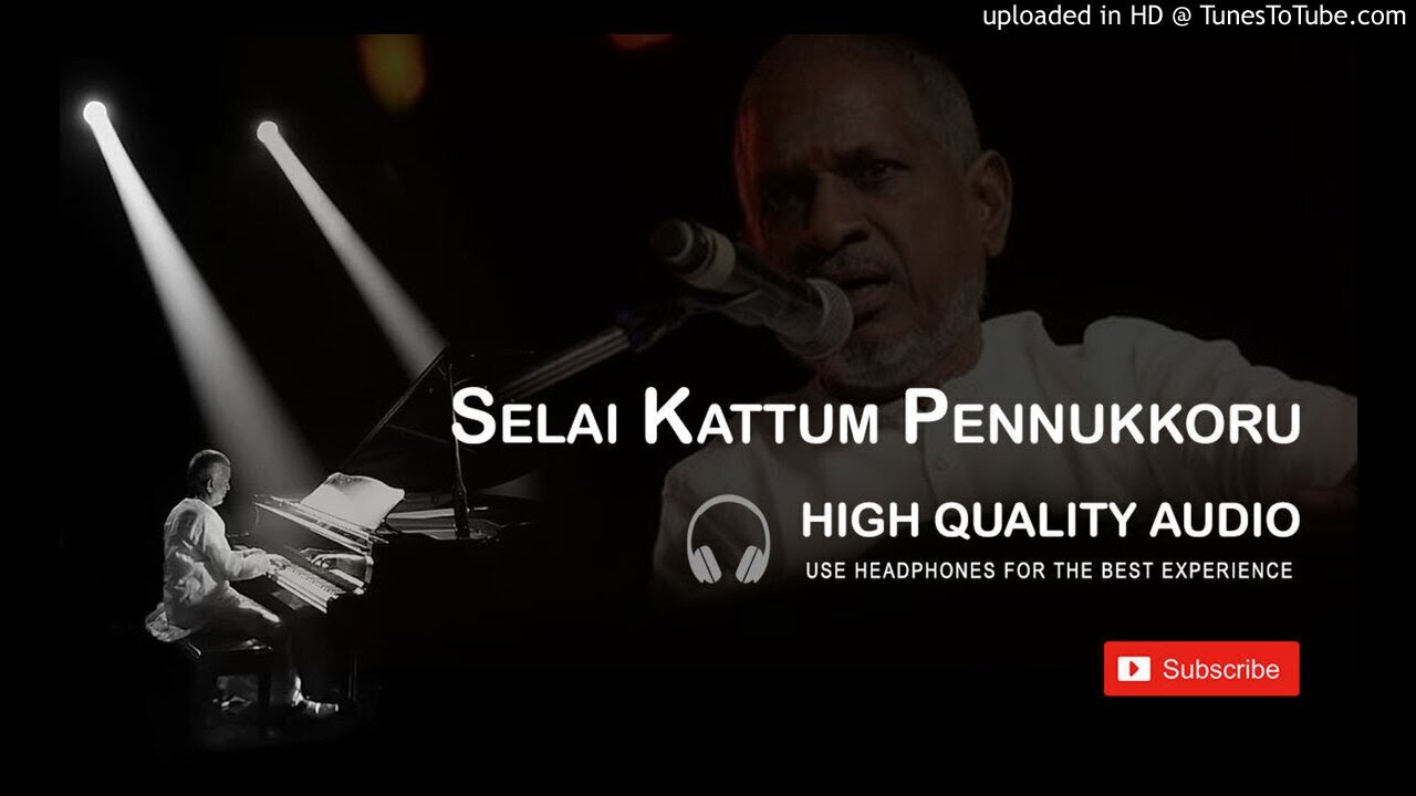 Selai Kattum Pennukkoru High Quality Audio Song  Hamsalekha