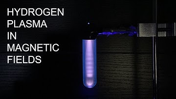 Hydrogen Plasma in Magnetic Fields