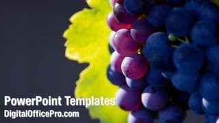 Wine Grapes PowerPoint Template Backgrounds - DigitalOfficePro #01231W