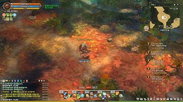 Tree Of Savior Game Play 20181116 00 34 01 782