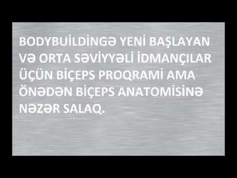 Video: Bodibildinq Haqqında Hər şey: Təlim Proqramı