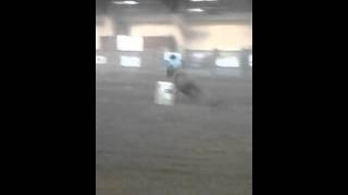 Mounted shooting