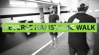 MTNTOUGH Form - Reverse Hamstring Walk