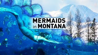FULL MEASURE: February 17, 2019 - Mermaids in Montana Profile